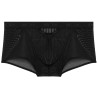 WOH Boxer Personal Allure Woh Noir